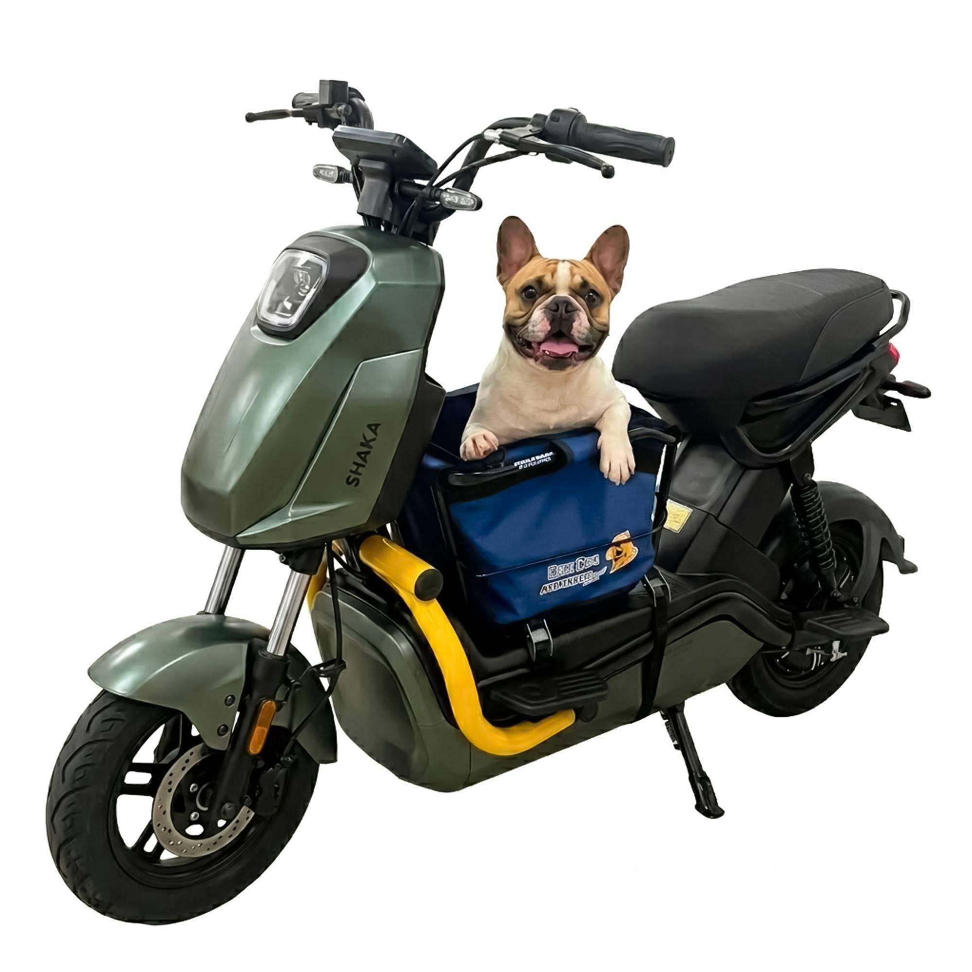 Cadeirinha Scooter Dog Transporte para Pets Azul